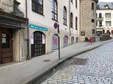 Brun og blid Ålesund