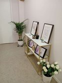 Venita Wellness
