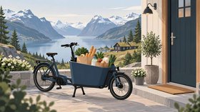 mat-og-dagligvarelevering