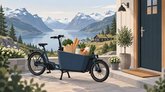Food & Grocery Delivery